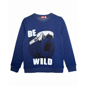 

Джемпер для мальчика, рост 158 см, цвет тёмно - синий