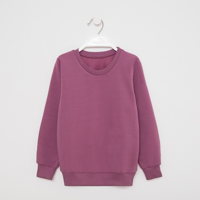 Свитшот для девочки, цветфиолетовый, рост 110-116 см