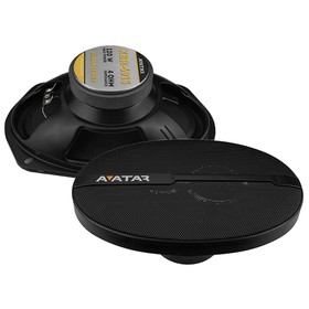 

Акустическая система Avatar XBR-6913 коаксиальная, набор 2 шт