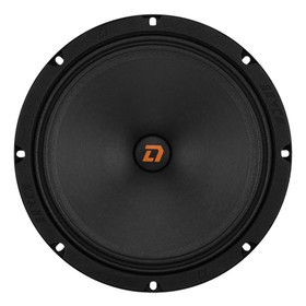 

Акустическая система DL Audio Raven 200, 110 Вт, набор 2 шт