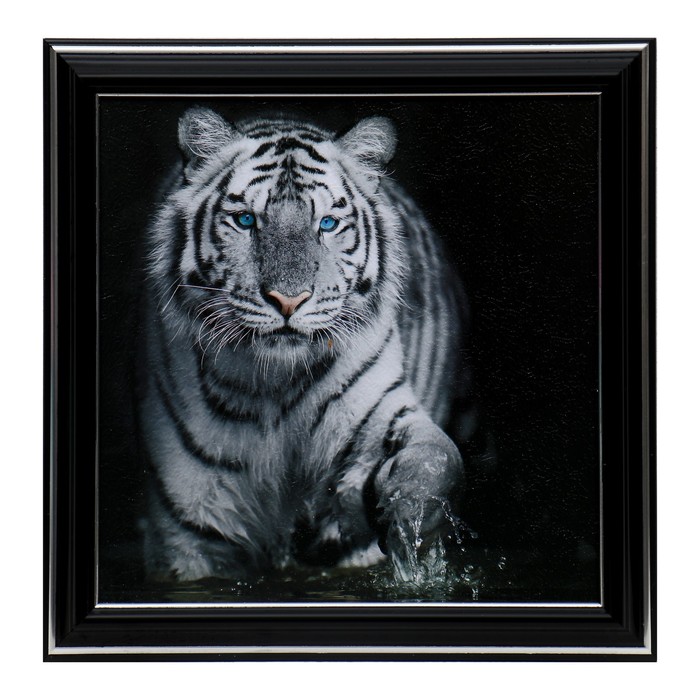 Картина "Белый тигр" 21х21см