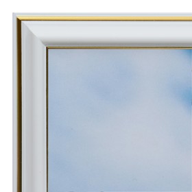 

Картина "Ромашки" 20х25 (22х27) см