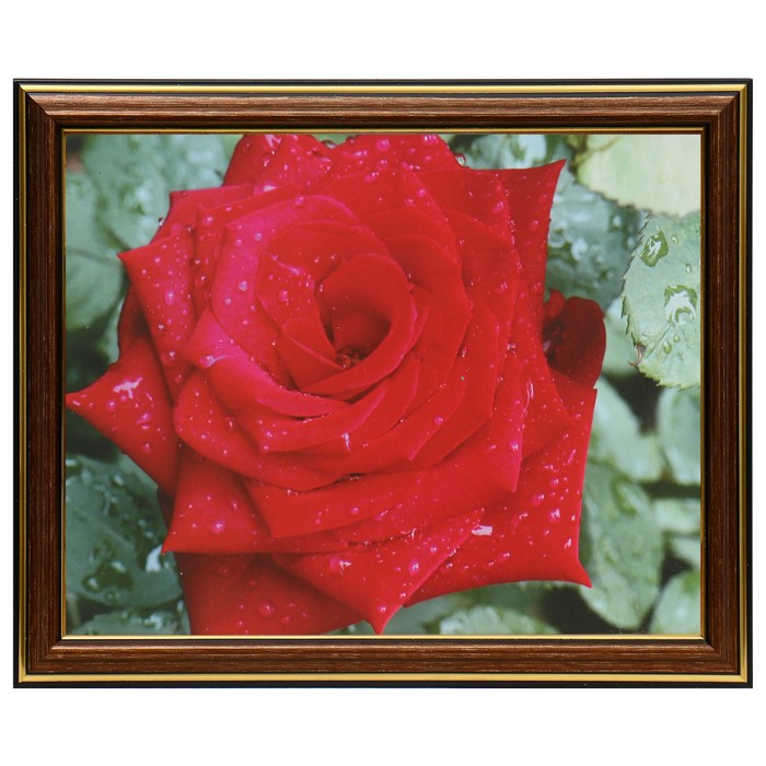 Картина "Роза" 20х25 (22х27) см