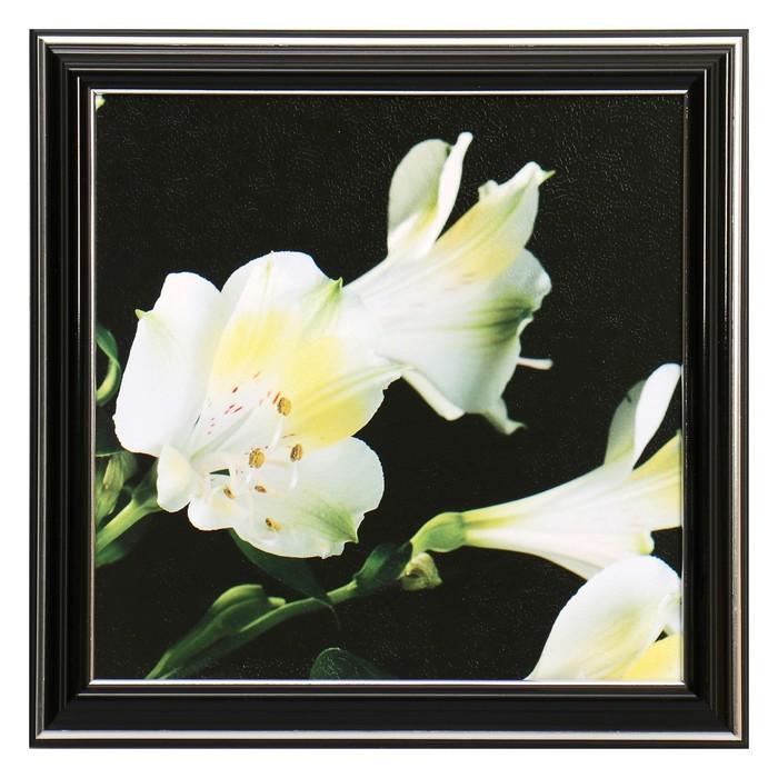 Картина "Белые цветы" 21х21 см