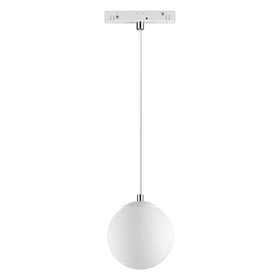 Светильник трековый SHINO 1-Ф, 10Вт LED, 4000К, 800лм, цвет белый/белый матовый шар