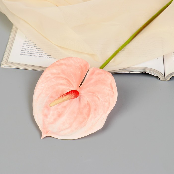 Цветы искусственные Антуриум 60 см, светло-розовый