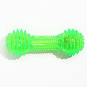 Игрушка светящаяся для собак "Круглая кость", TPR, 15 см, зелёная от Сима-ленд