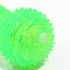 Игрушка светящаяся для собак "Круглая кость", TPR, 15 см, зелёная от Сима-ленд