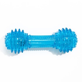 Игрушка светящаяся для собак "Круглая кость", TPR, 15 см, голубая от Сима-ленд