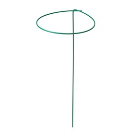 Кустодержатель для цветов, d = 30 см, h = 70 см, ножка d = 0.3 см, металл, зелёный Ош