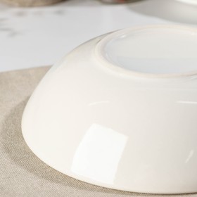 

Тарелка суповая «Якорь красный», 750 мл, d=19,5 см