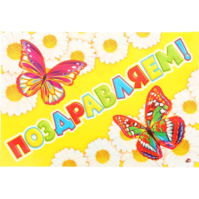 Гирлянда с плакатом А3 "С Днем Рождением!" ромашки, 240 см