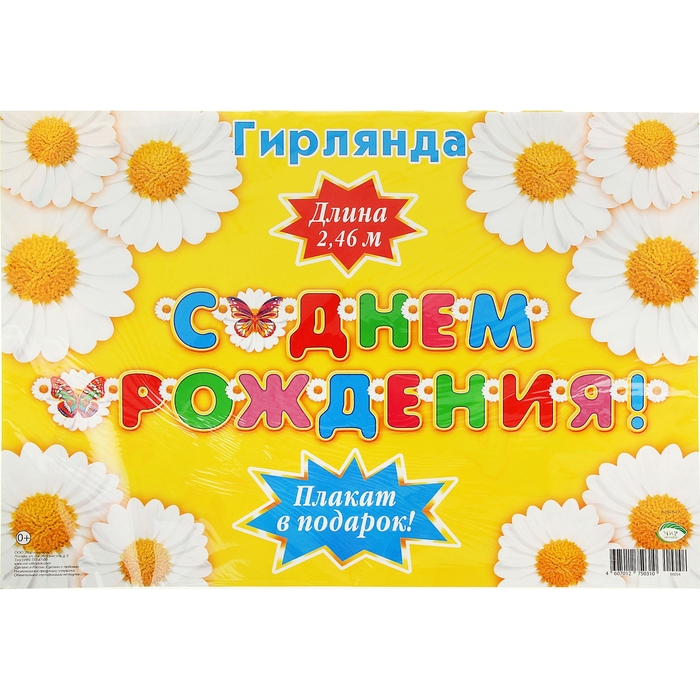 Гирлянда с плакатом А3 "С Днем Рождением!" ромашки, 240 см