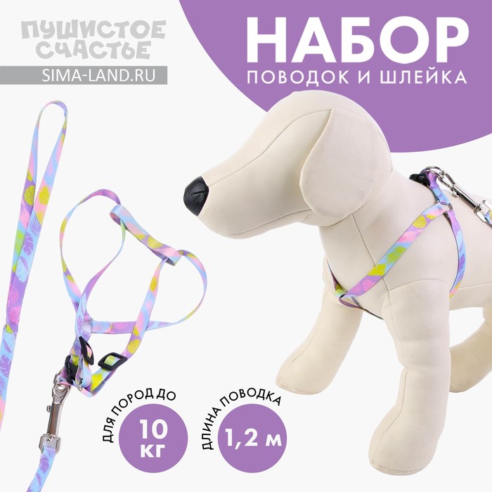 

Комплект «Листья», шлейка 24-36 см, поводок 120х1 см