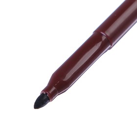 

Фломастеры 10 цветов, Centropen 2549/08 Magic, меняют цвет, + 8 цветов + 2 поглотителя, картонная упаковка