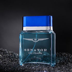

Туалетная вода мужская SENATOR EAU FRAICHE, 100 мл