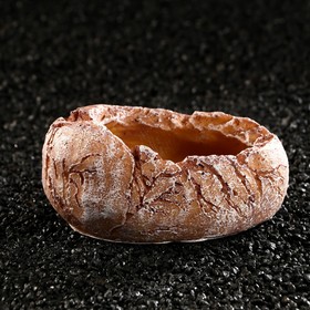 

Кормушка для террариума, 12 х 8,5 х 5,5 см