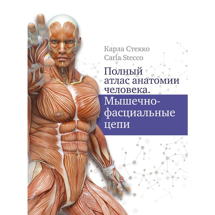 

Полный атлас анатомии человека. Мышечно-фасциальные цепи. Стекко Карла
