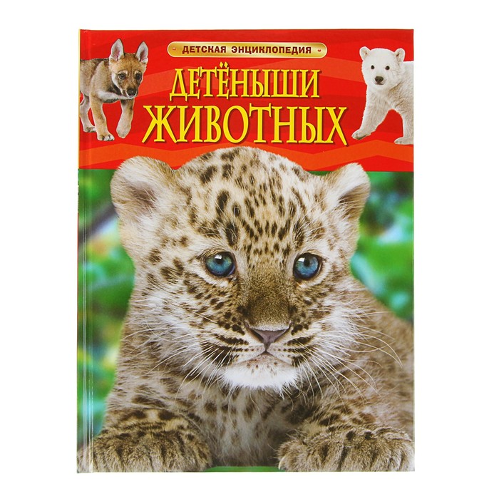 Детская энциклопедия «Детёныши животных»