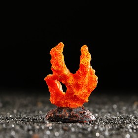

Декоративный коралл "Синулярия мини", 6 х 3,5 х 8,5 см, оранжевый