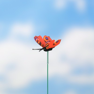 Штекер для комнатных растений