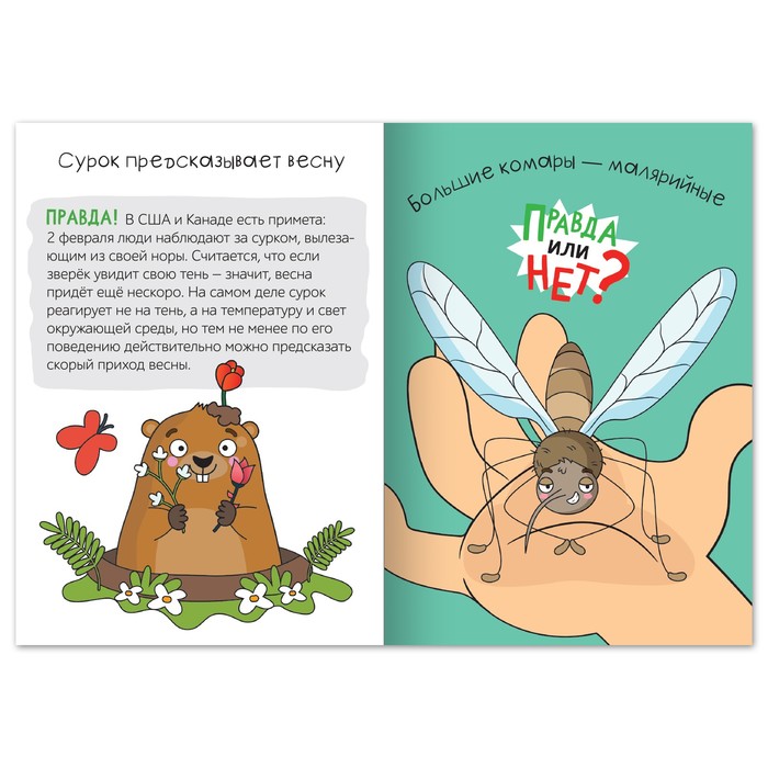 фото Обучающая книга «правда или нет? как в народе говорят», 44 стр. буква-ленд