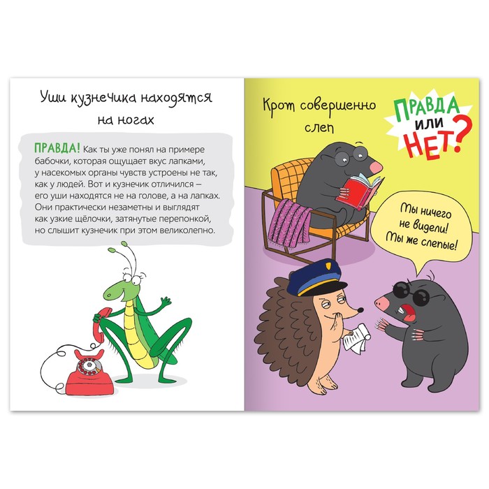 фото Обучающая книга «правда или нет? мир животных», 44 стр. буква-ленд