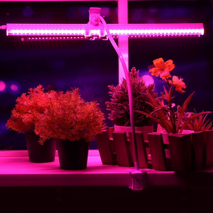 светильники и лампы для растений фитосветильники фитосветильник светодиодный ritter t5 10вт 572 мм ip20 на прищепке красно синий спектр Фитосветильник светодиодный Ritter, T5, 10Вт, 572 мм, IP20, на прищепке, красно-синий спектр