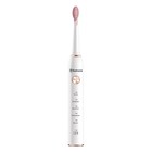 Электрическая зубная щетка Sakura SA-5561W, звуковая, 38000 дв/мин, 2 насадки, розовая