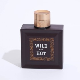 

Туалетная вода мужская Wild And Hot, 100 мл