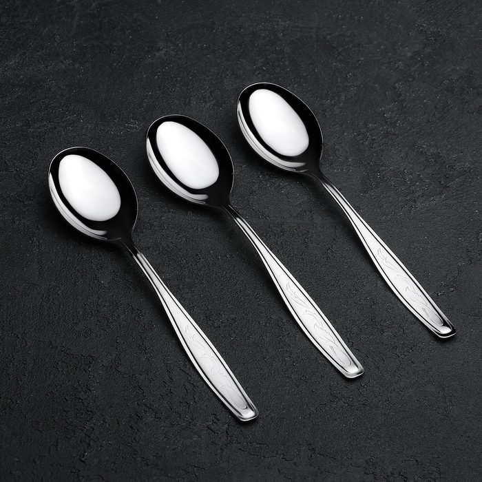 Набор столовых ложек 20 см "Силуэт", 3 шт, на подвеске, толщина 1 мм