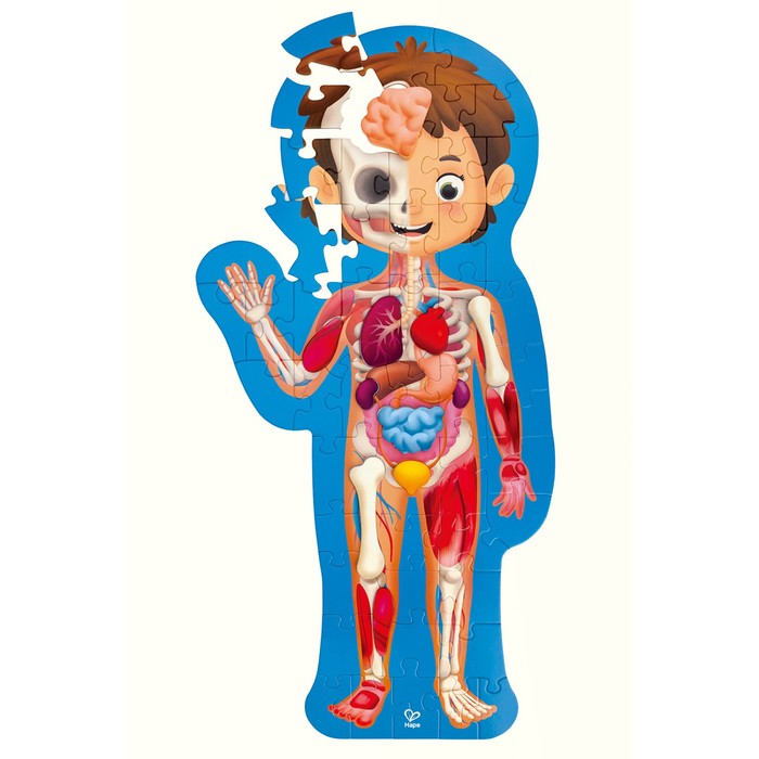 Пазл-игрушка «Как устроено тело человека», 60 элементов питер маврикис тело человека серия как это устроено