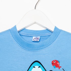 

Футболка для мальчика, цвет голубой, рост 104