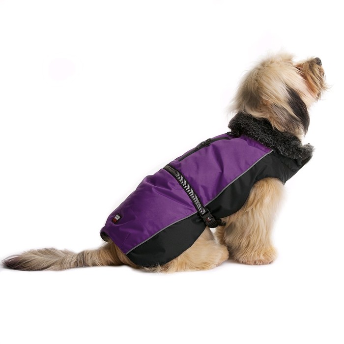 Нано куртка Dog Gone Smart Aspen parka зимняя с меховым воротником, ДС 25,4 см, фиолетовая