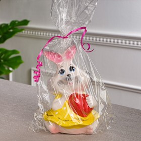 

Копилка"Заяц с сердцем", разноцветная, 20х13х12см, микс