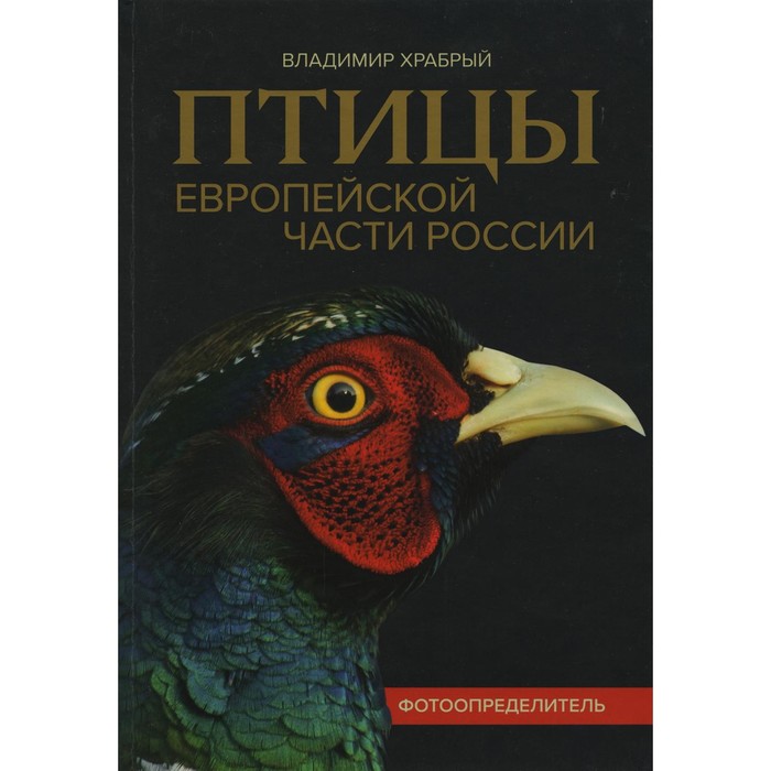 Птицы Европейской части России: фотоопределитель. Храбрый В.М.