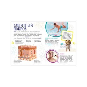 

Гигантская энциклопедия для самых маленьких "Человек"