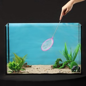 Сачок аквариумный круглый, 35 см, Ø11,5 см, микс цветов Ош