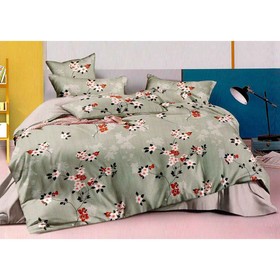 

КПБ евро 220x240 см, 200x220 см, 70x70 см-2 шт 3157