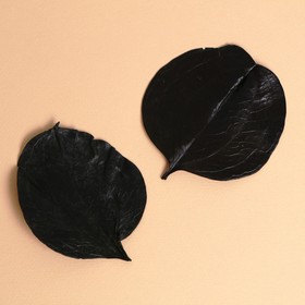Сухие листья, набор 2 шт, размер 1 шт 6,5*7 см