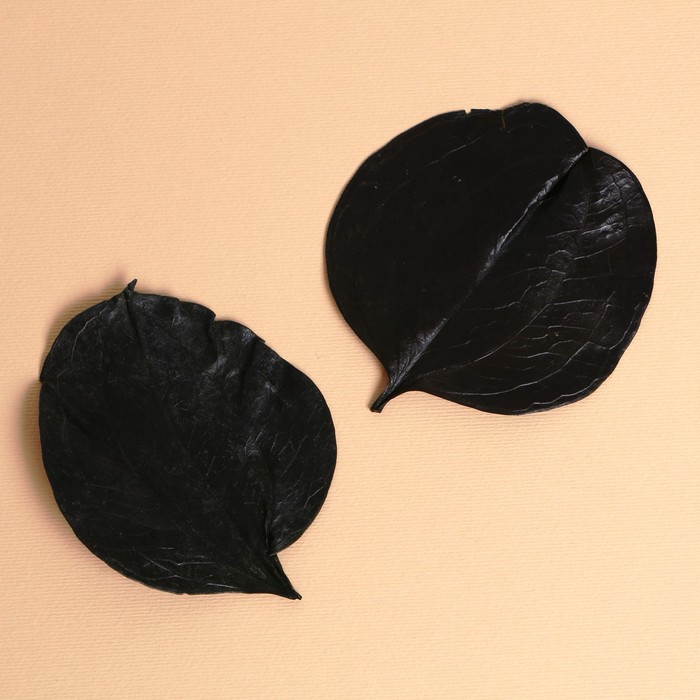 цена Сухие листья, набор 2 шт., размер 1 шт: 6,5 × 7 см