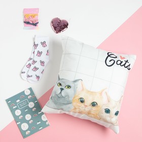 Подарочный набор 'Cats' подушка-секрет, 40х40 см и аксессуары Ош