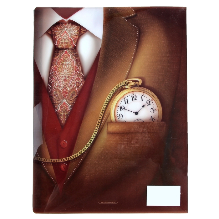 Папка с файлами (10 шт.) "Деловая папка", А4