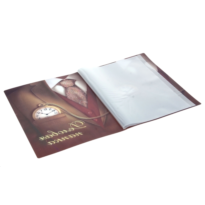 Папка с файлами (10 шт.) "Деловая папка", А4