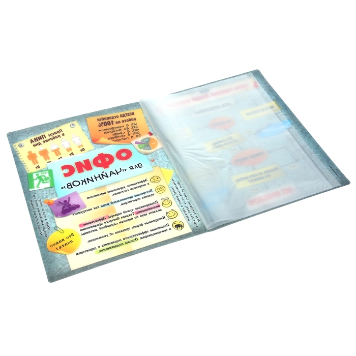 Папка с файлами (10 шт.) "Нет проблем", А4