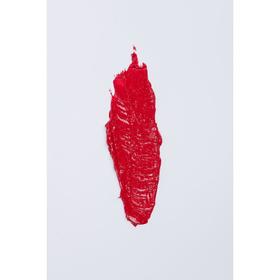 

Губная помада Vivienne Sabo Rouge Feministe, тон 07, 4 г