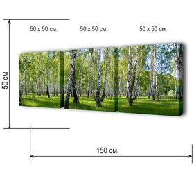 

Картина модульная на подрамнике "Березовая роща" 50*50см, 50*50см, 50*50см 150x50см