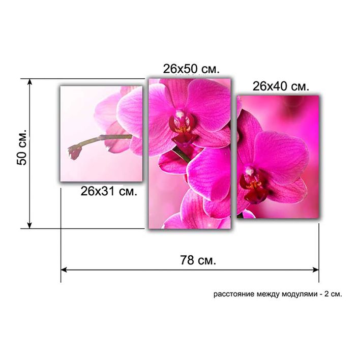 Модульная картина на подрамнике "Орхидеи", 26×50 см, 26×40 см, 26×32 см, 80×50 см