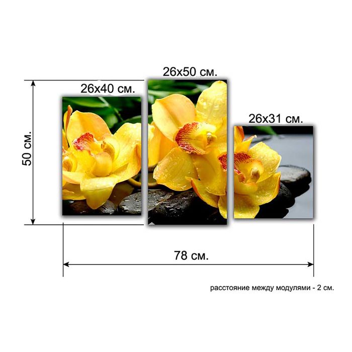 Модульная картина на подрамнике "Жёлтые орхидеи на камнях", 26×40, 26×50, 26×31 80×50 см