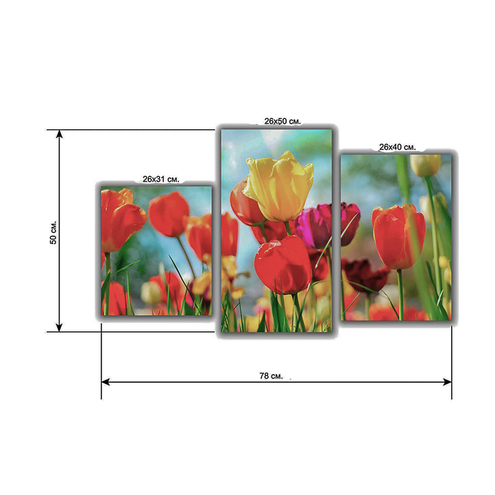 Модульная картина на подрамнике "Тюльпаны", 26×30 см, 26×40 см, 26×50 см, 50×80 см